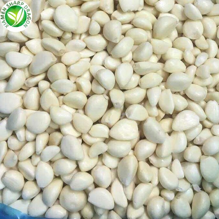 frozen garlic product-1-1