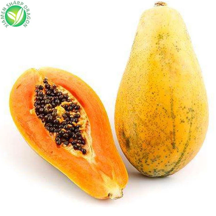 wholesale frozen papaya fruit product-1-1