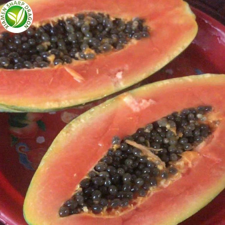 papaya fruit market product-1-1