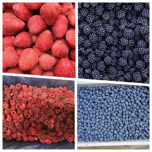 Frozen Fruit TOP 4 Frozen Fruit TOP 4