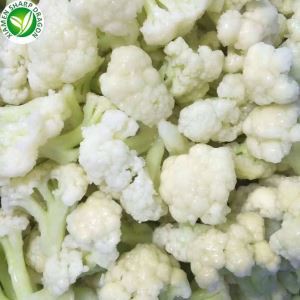 IQF כרובית קפואה