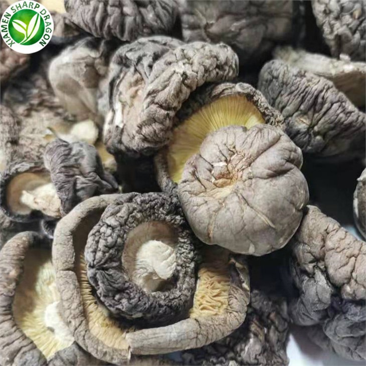 Dried Shiitake Mushrooms From China