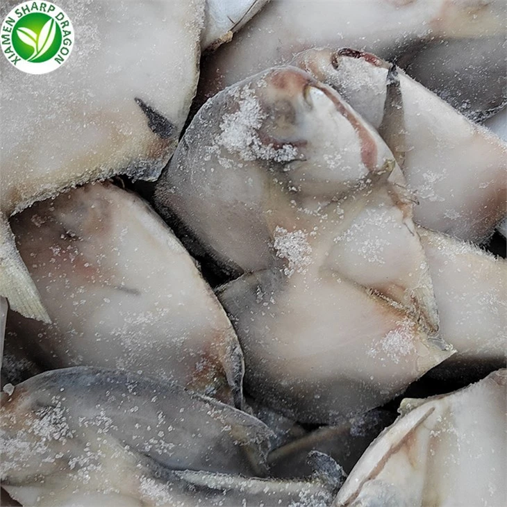 Frozen Pomfret Fish